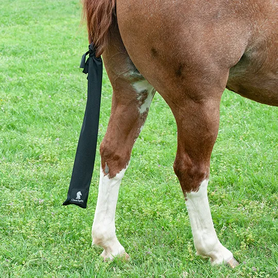 Classic Equine Black Lycra Tail Bag