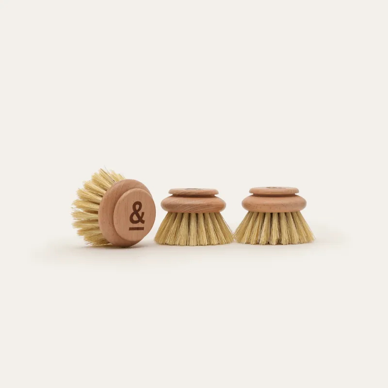 Dish Brush Head Replacement | 3pk Regular